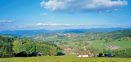 Bayerwald Panorama