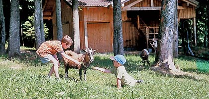 Streichelzoo -  Hütte für die Ziegen