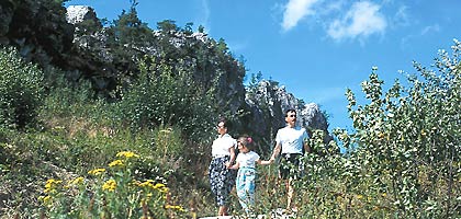 Wandern im Nationalpark Bayerischer Wald