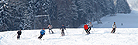 Ferienhütten Bayerischer Wald